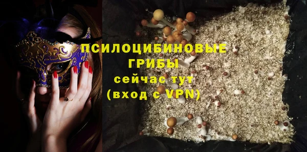 метадон Армянск